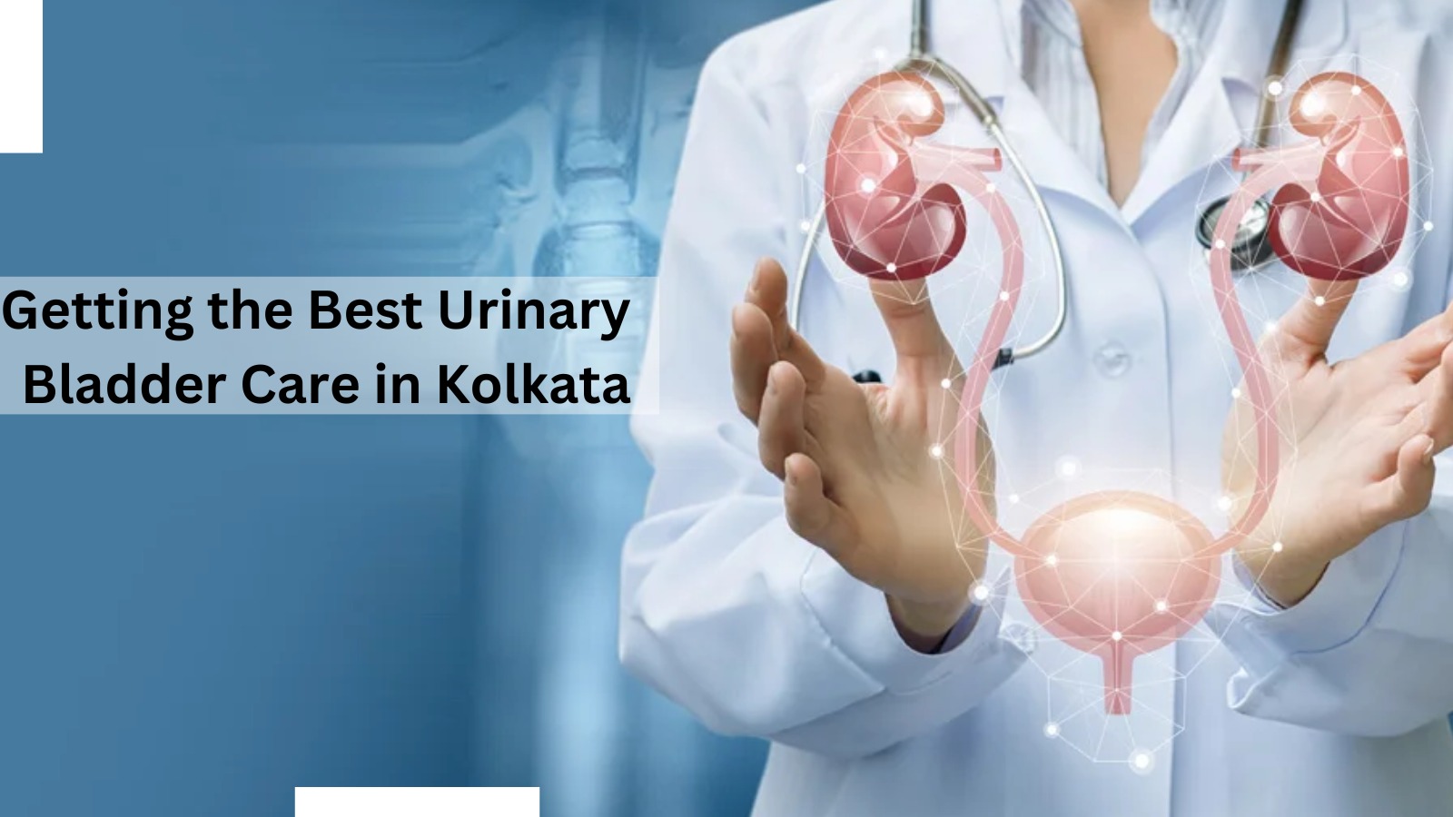 Best Urinary Bladder Treatment in Kolkata