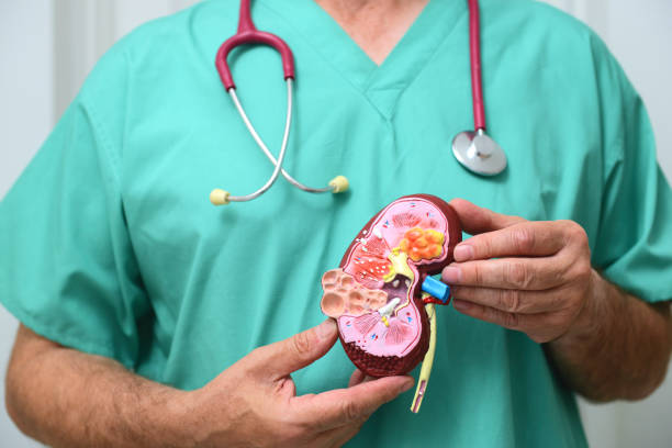 Advanced Kidney Cancer Treatment in Kolkata – Nephrectomy to Immunotherapy