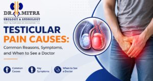 Testicular Pain Causes: Common Reasons, Symptoms, and When to See a Doctor